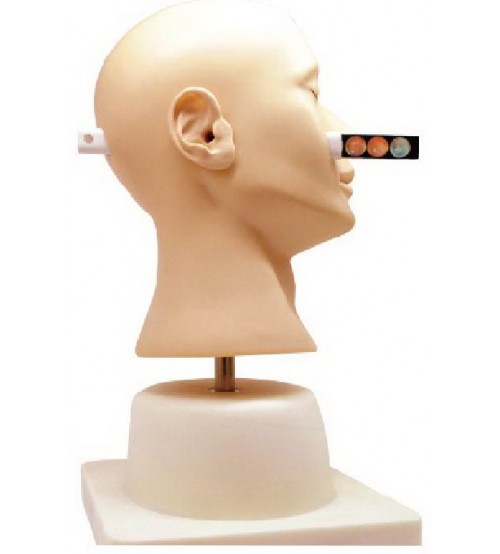 Advanced Ear Diagnostic Simulator (soft)