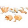 Advanced Childbirth Comprehensive Skill Training Simulator (soft)