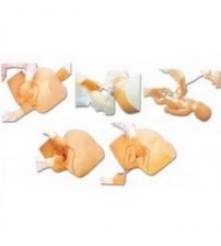 Advanced Childbirth Comprehensive Skill Training Simulator (soft)