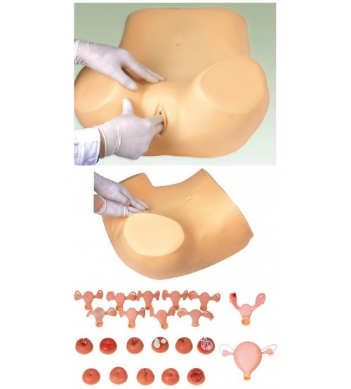 Gynecological Training Simulator (soft)
