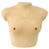 Breast Examination Simulator (soft)