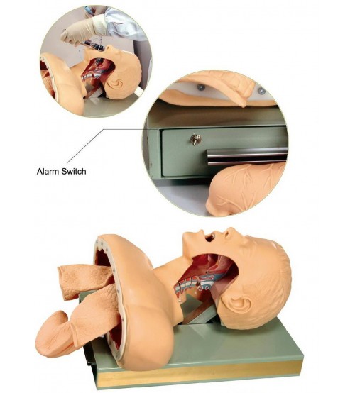 Advanced Airway Intubation Training Simulator (soft)