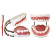 Tooth Hygiene Set With Tooth Brush