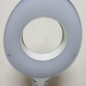 Magnifying LED With Rolling Stand